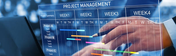 Effective Project Management: Strategies for Success | Bril Blog